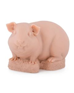 APOF Guinea Pig Original Tone