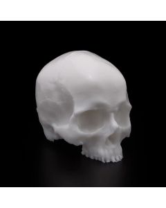 APOF Yorick Skull Original Tone