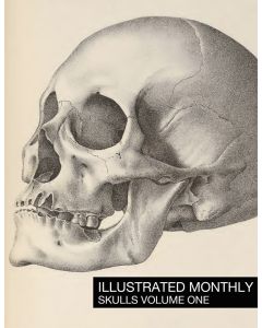 Skulls Volume 1 Book By Illustrated Monthly